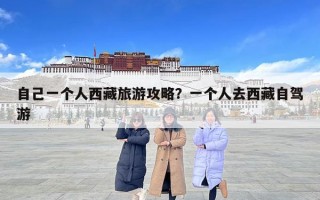 自己一個(gè)人西藏旅游攻略？一個(gè)人去西藏自駕游