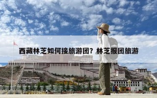 西藏林芝如何接旅游團？林芝報團旅游