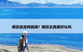 跟團(tuán)旅游網(wǎng)西藏？跟團(tuán)去西藏好玩嗎