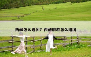 西藏怎么選團？西藏旅游怎么組團