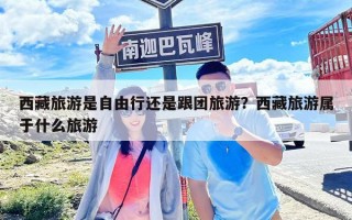 西藏旅游是自由行還是跟團旅游？西藏旅游屬于什么旅游