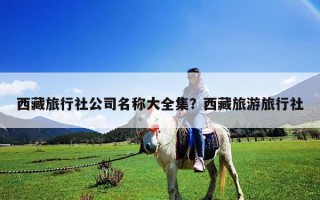 西藏旅行社公司名稱大全集？西藏旅游旅行社