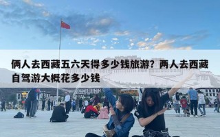 倆人去西藏五六天得多少錢旅游？兩人去西藏自駕游大概花多少錢
