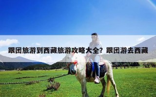 跟團(tuán)旅游到西藏旅游攻略大全？跟團(tuán)游去西藏