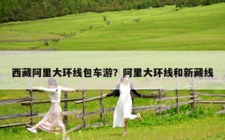 西藏阿里大環(huán)線包車游？阿里大環(huán)線和新藏線
