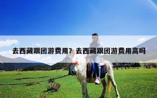 去西藏跟團游費用？去西藏跟團游費用高嗎