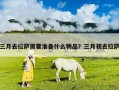 三月去拉薩需要準備什么物品？三月初去拉薩