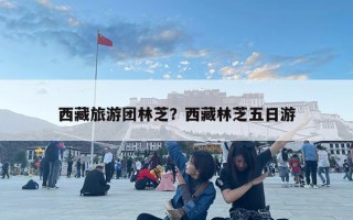 西藏旅游團林芝？西藏林芝五日游
