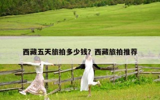 西藏五天旅拍多少錢？西藏旅拍推薦