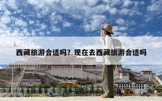 西藏旅游合適嗎？現在去西藏旅游合適嗎