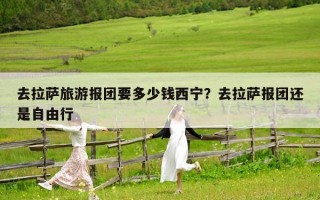 去拉薩旅游報(bào)團(tuán)要多少錢西寧？去拉薩報(bào)團(tuán)還是自由行