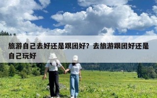 旅游自己去好還是跟團好？去旅游跟團好還是自己玩好