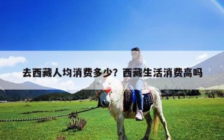 去西藏人均消費(fèi)多少？西藏生活消費(fèi)高嗎