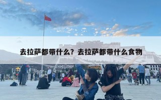 去拉薩都帶什么？去拉薩都帶什么食物