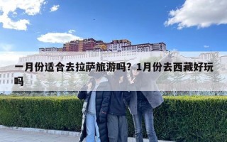 一月份適合去拉薩旅游嗎？1月份去西藏好玩嗎
