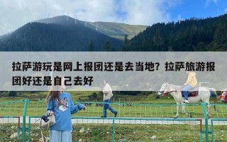 拉薩游玩是網上報團還是去當地？拉薩旅游報團好還是自己去好