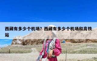 西藏有多少個機場？西藏有多少個機場和高鐵站