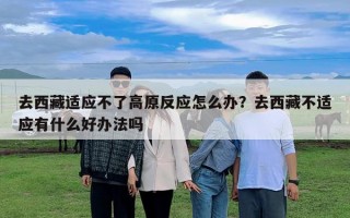 去西藏適應不了高原反應怎么辦？去西藏不適應有什么好辦法嗎
