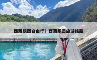 西藏跟團(tuán)自由行？西藏跟團(tuán)旅游線路
