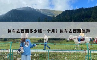 包車去西藏多少錢一個月？包車去西藏旅游