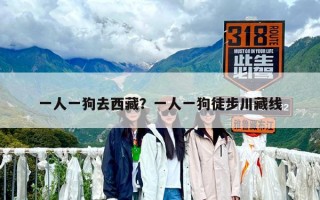 一人一狗去西藏？一人一狗徒步川藏線