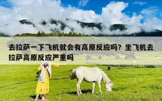 去拉薩一下飛機(jī)就會(huì)有高原反應(yīng)嗎？坐飛機(jī)去拉薩高原反應(yīng)嚴(yán)重嗎