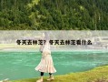 冬天去林芝？冬天去林芝看什么