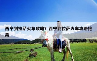 西寧到拉薩火車攻略？西寧到拉薩火車攻略搶票