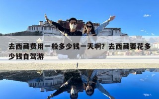 去西藏費(fèi)用一般多少錢(qián)一天啊？去西藏要花多少錢(qián)自駕游