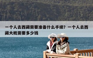 一個人去西藏需要準(zhǔn)備什么手續(xù)？一個人去西藏大概需要多少錢