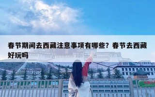 春節(jié)期間去西藏注意事項有哪些？春節(jié)去西藏好玩嗎