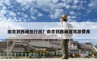 南京到西藏旅行團(tuán)？南京到西藏自駕游費(fèi)用