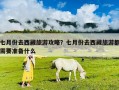 七月份去西藏旅游攻略？七月份去西藏旅游都需要準(zhǔn)備什么