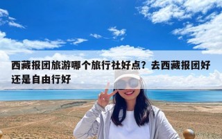 西藏報團旅游哪個旅行社好點？去西藏報團好還是自由行好