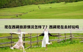 現在西藏旅游情況怎樣了？西藏現在去好玩嗎