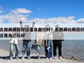 去西藏跟團好還是自由行好？去西藏玩跟團好還是自己玩好