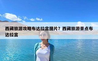 西藏旅游攻略布達拉宮圖片？西藏旅游景點布達拉宮