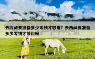 去西藏要準(zhǔn)備多少零錢才夠用？去西藏要準(zhǔn)備多少零錢才夠用呀