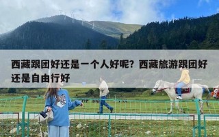 西藏跟團好還是一個人好呢？西藏旅游跟團好還是自由行好