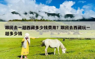 跟團去一趟西藏多少錢費用？跟團去西藏玩一趟多少錢