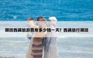 跟團西藏旅游費用多少錢一天？西藏旅行跟團