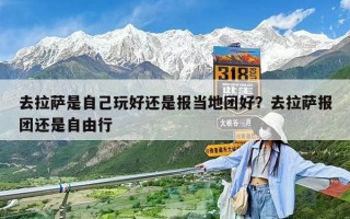 去拉薩是自己玩好還是報當(dāng)?shù)貓F(tuán)好？去拉薩報團(tuán)還是自由行