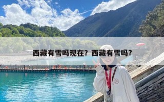 西藏有雪嗎現在？西藏有雪嗎?