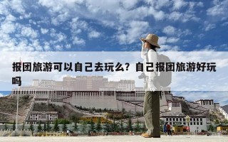報團旅游可以自己去玩么？自己報團旅游好玩嗎