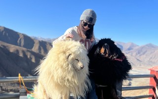 西藏5天游大概需要多少錢？拉薩五日游費用要多少？