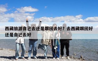 西藏旅游自己去還是跟團去好？去西藏跟團好還是自己去好