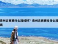 貴州去西藏什么路線好？貴州去西藏走什么路線