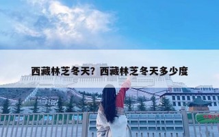西藏林芝冬天？西藏林芝冬天多少度
