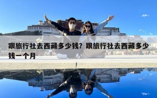 跟旅行社去西藏多少錢？跟旅行社去西藏多少錢一個月