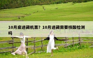 10月底進(jìn)藏機(jī)票？10月進(jìn)藏需要核酸檢測(cè)嗎